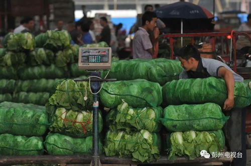 又一国家级称号 彭州雨润国际农产品交易中心被农业农村部认定为 定点市场